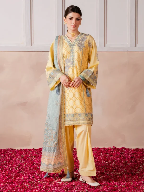 Pakistani luxury dresses festive collection in uk online
